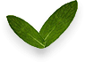 image 06 free img